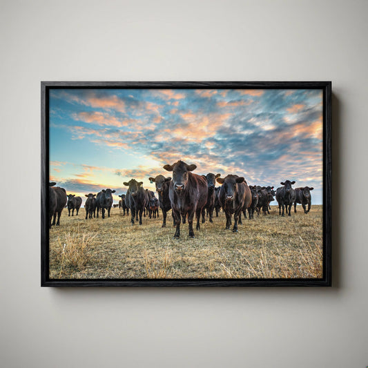 Black Angus Wall Art - Rustic Western Landscape