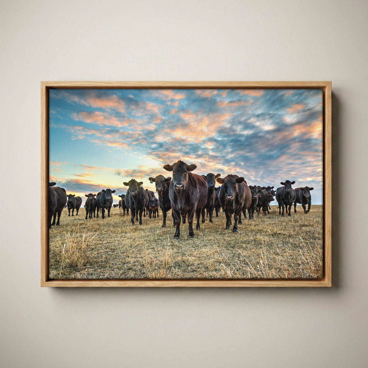 Black Angus Wall Art - Rustic Western Landscape Canvas-Natural Oak Float Frame / 12 x 18 Inches