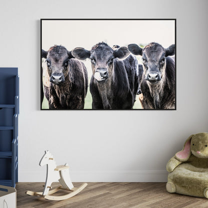 Black Angus Western Nursery Decor Wall Art Teri James Photography