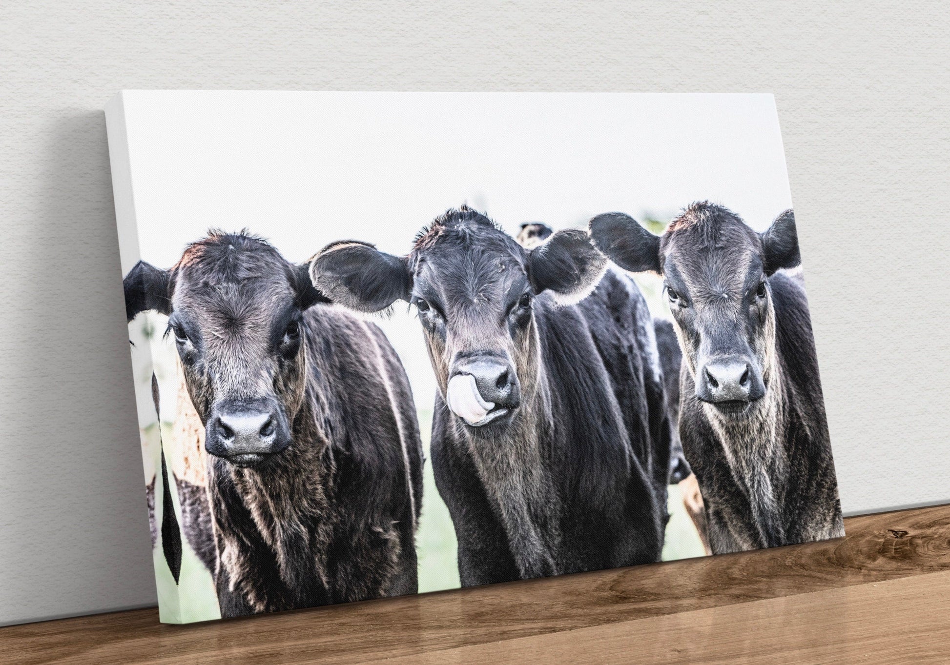 Black Angus Western Nursery Decor Canvas-Unframed / 12 x 18 Inches Wall Art Teri James Photography