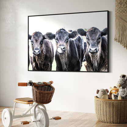 Black Angus Western Nursery Decor Wall Art Teri James Photography