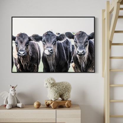 Black Angus Western Nursery Decor Wall Art Teri James Photography