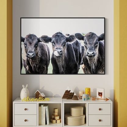 Black Angus Western Nursery Decor Wall Art Teri James Photography
