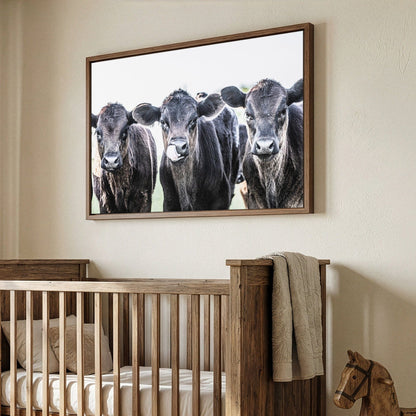 Black Angus Western Nursery Decor Wall Art Teri James Photography