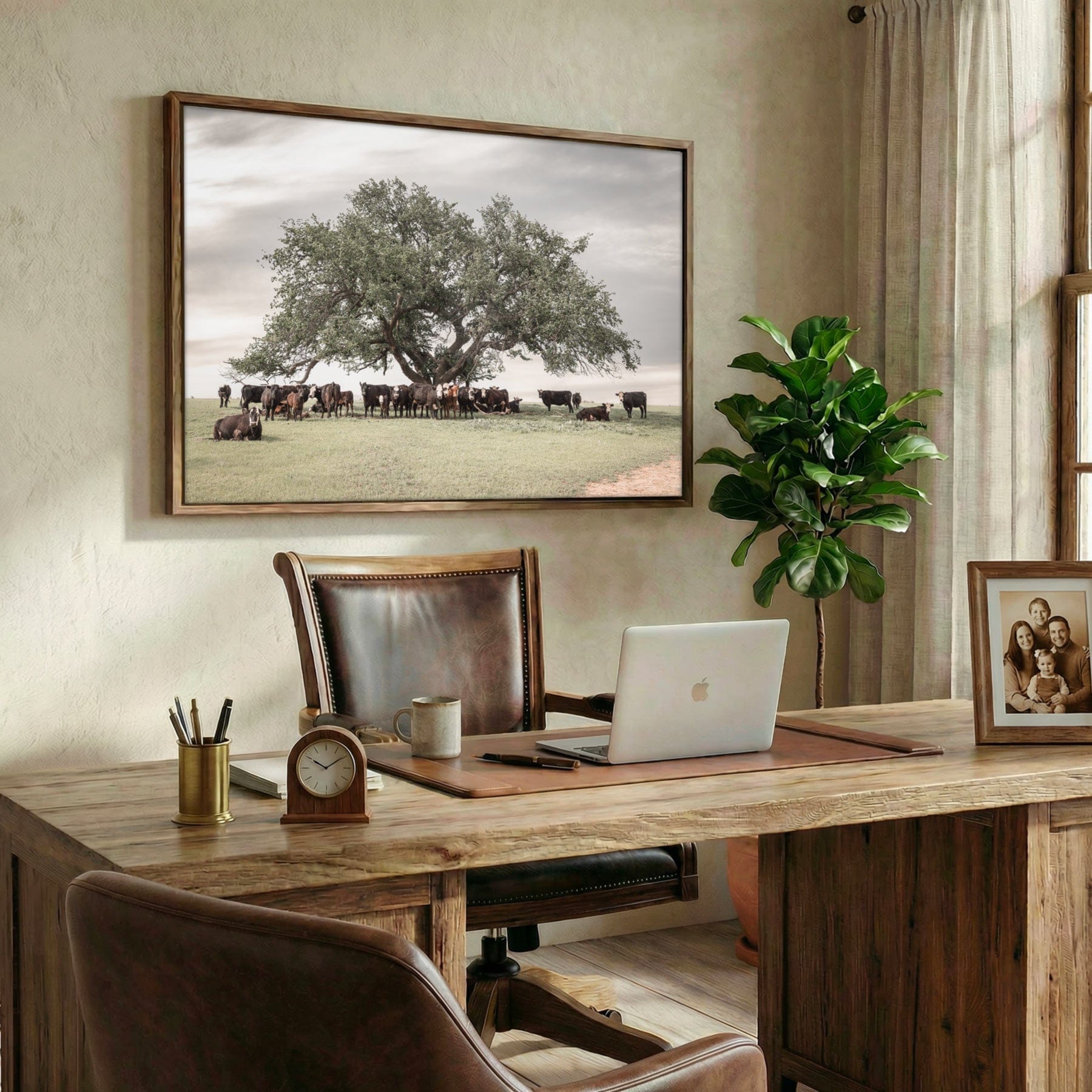 Black Baldy Cow Canvas - Rustic Cattle Canvas - Angus Cow Artwork Wall Art Wall Art Teri James Photography