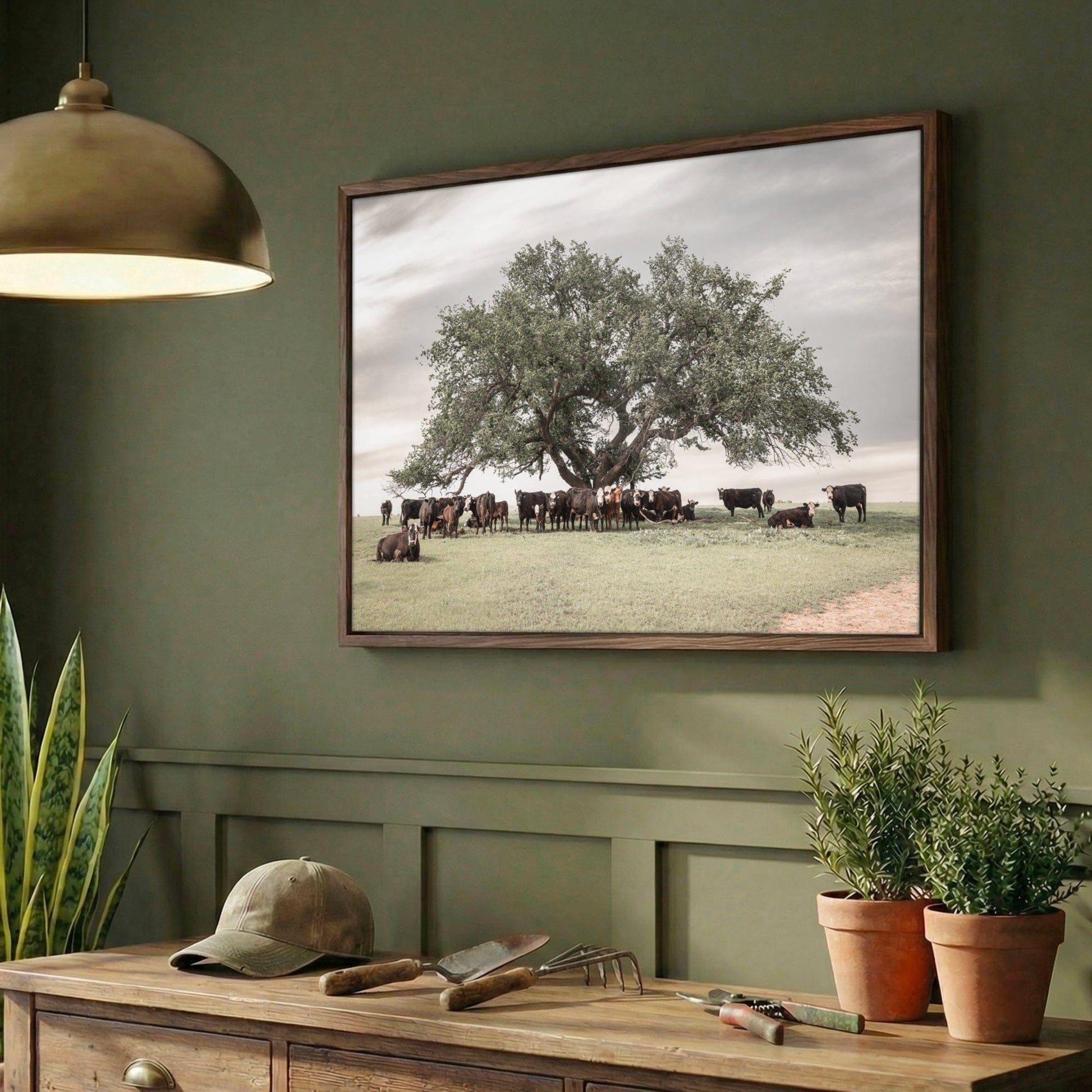 Black Baldy Cow Canvas - Rustic Cattle Canvas - Angus Cow Artwork Wall Art Wall Art Teri James Photography