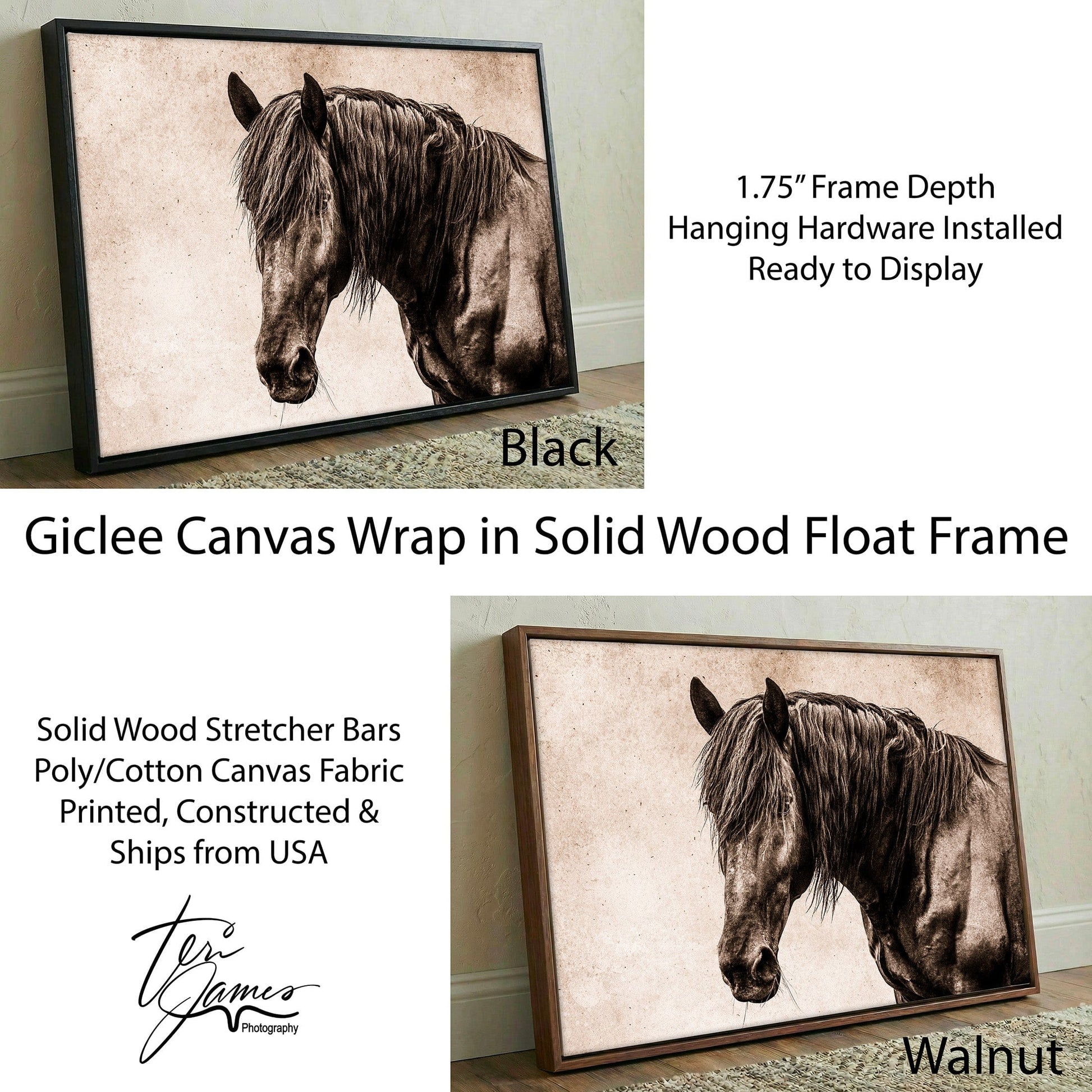 Black Horse Canvas Art - Elegant Horse Wall Decor on Canvas Canvas-Black Frame / 12 x 18 Inches Wall Art Teri James Photography