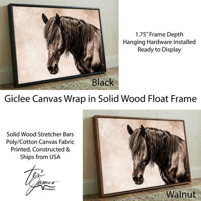 Black Horse Canvas Art - Elegant Horse Wall Decor on Canvas Canvas-Black Frame / 12 x 18 Inches Wall Art Teri James Photography