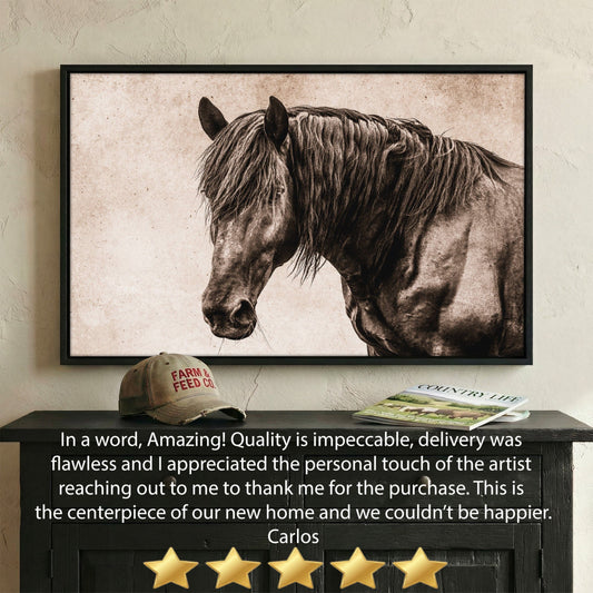 Black Horse Canvas Art - Elegant Horse Wall Decor on Canvas Wall Art Teri James Photography