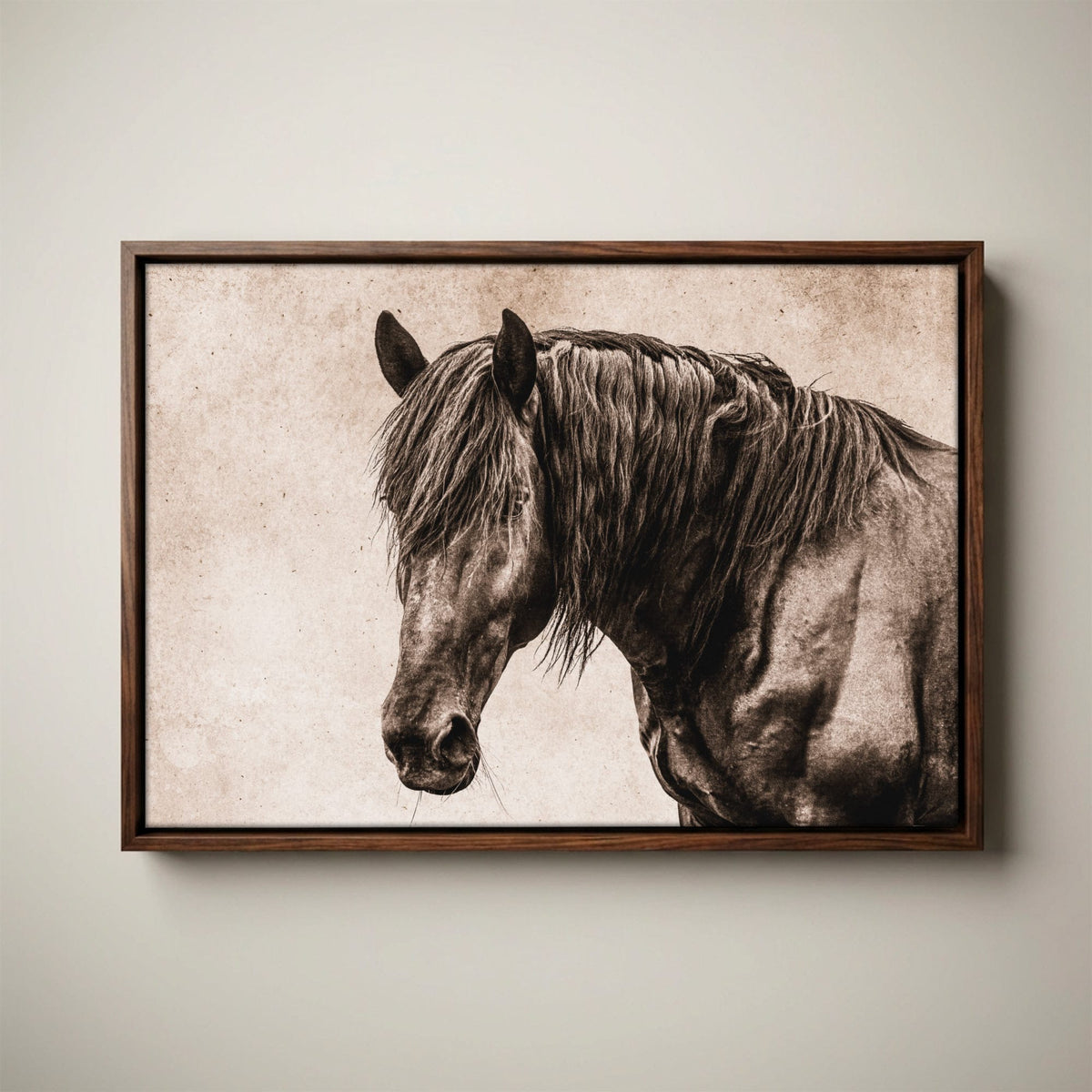 Black Horse Canvas Art - Elegant Horse Wall Decor