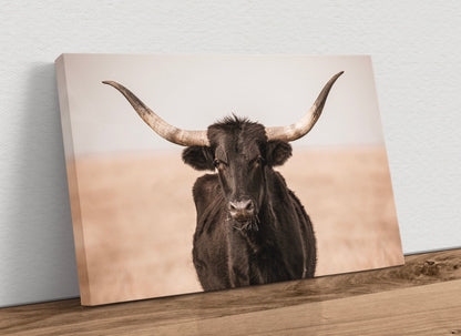 Black Texas Longhorn Canvas Print Canvas-Unframed / 12 x 18 Inches Wall Art Teri James Photography