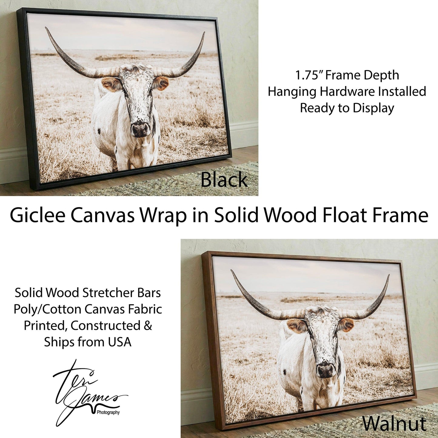 Boho Western Decor Art - Longhorn Photography Canvas Print Canvas-Black Frame / 12 x 18 Inches Wall Art Teri James Photography