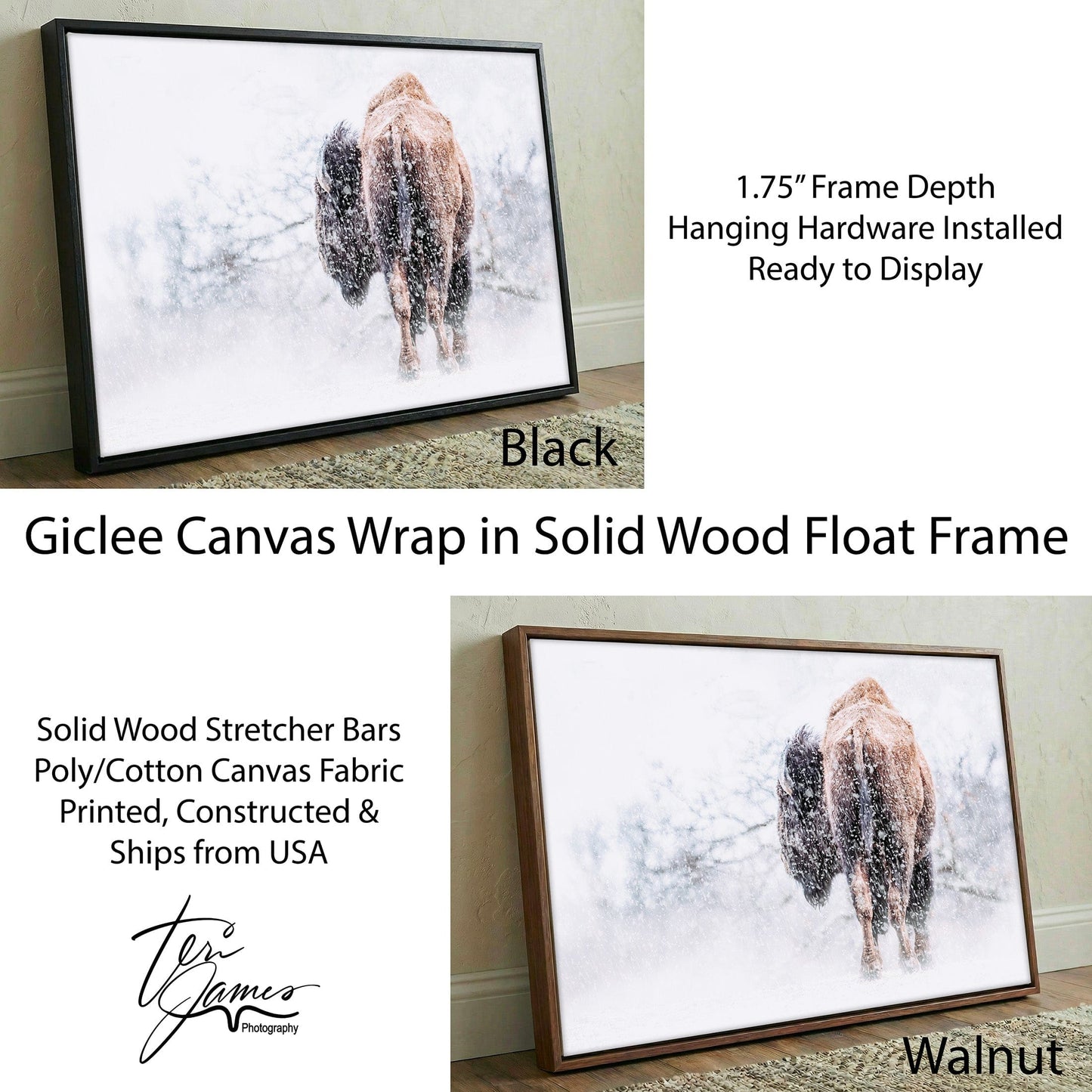 Buffalo Canvas Art – Rustic Bison Wall Art for Living Room Decor Canvas-Black Frame / 12 x 18 Inches Wall Art Teri James Photography