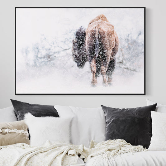 Buffalo Canvas Art Wall Art Teri James Photography