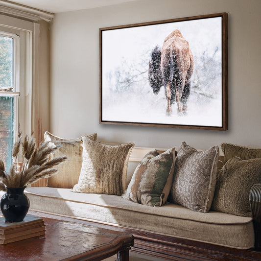 Buffalo Canvas Art Wall Art Teri James Photography