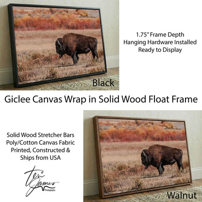 Buffalo Wall Decor - Rustic Buffalo Canvas With Yellowstone Bison Print Canvas-Black Frame / 12 x 18 Inches Wall Art Teri James Photography