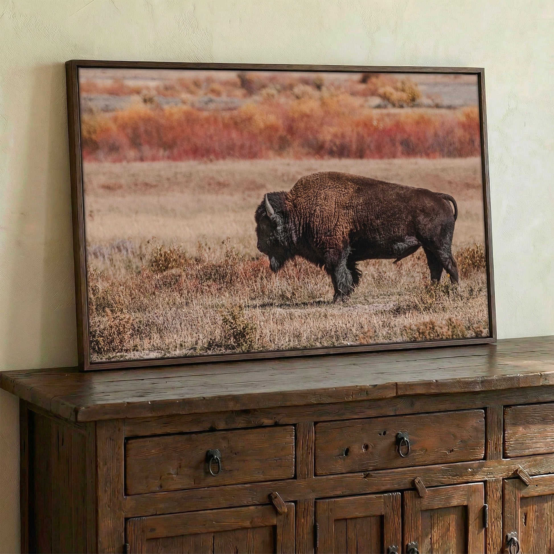Buffalo Wall Decor - Yellowstone Bison Wall Art Teri James Photography