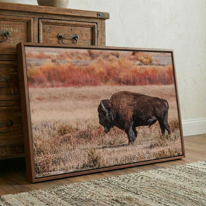 Buffalo Wall Decor - Yellowstone Bison Wall Art Teri James Photography
