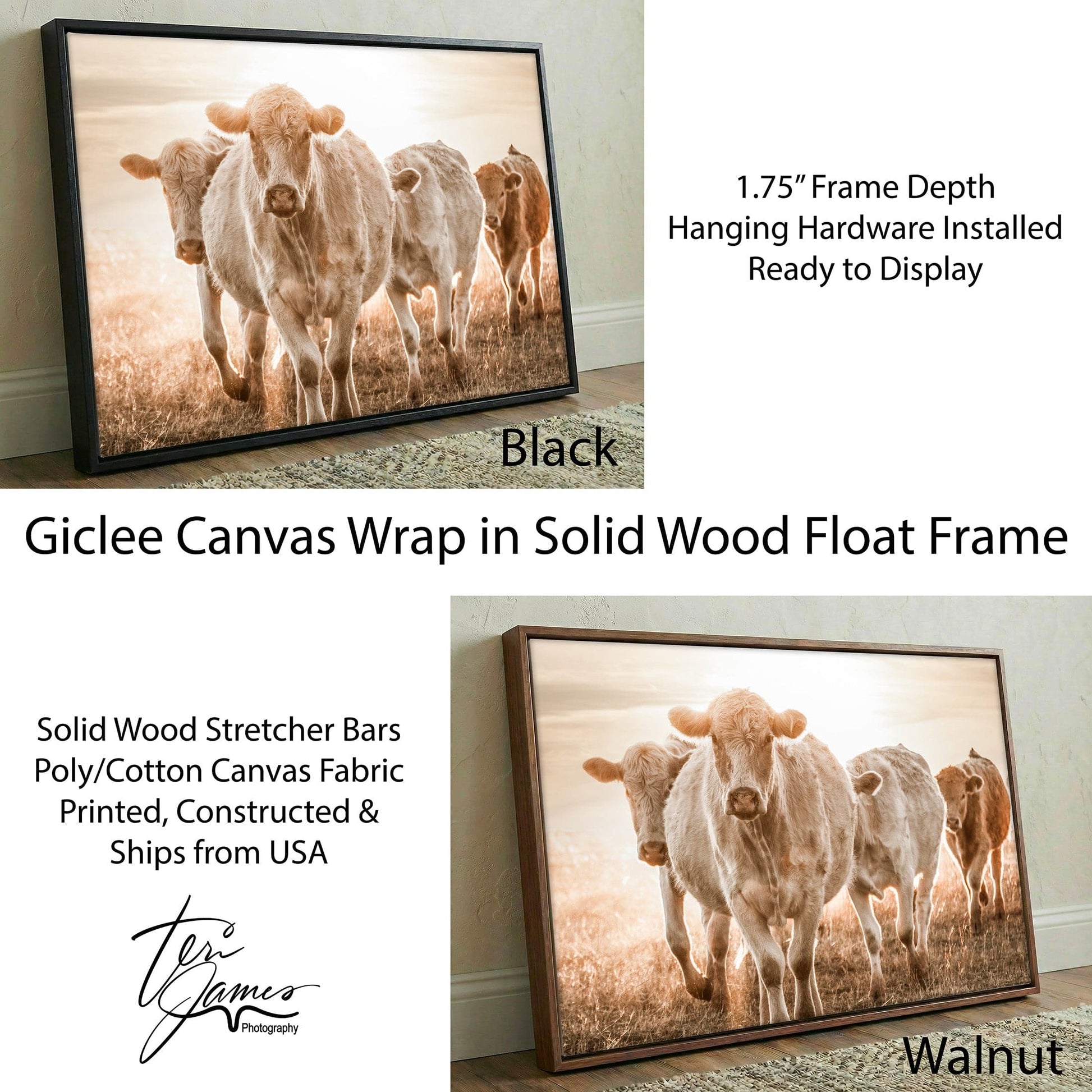 Charolais Cattle Canvas – Rustic Farmhouse Wall Art With Earth Tone Muted Colors Canvas-Black Frame / 12 x 18 Inches Wall Art Teri James Photography