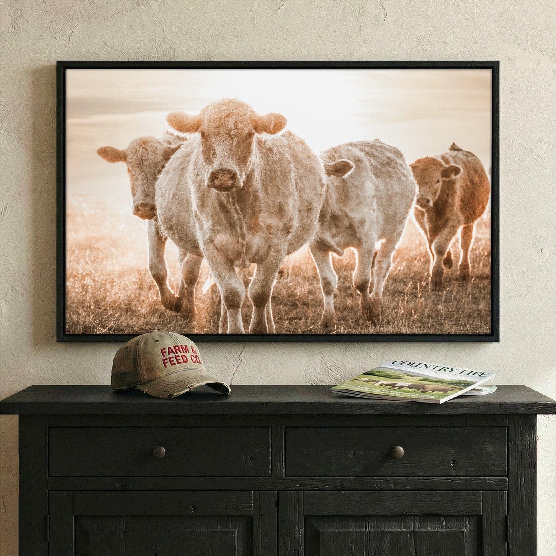 Charolais Cattle Wall Canvas Wall Art Teri James Photography