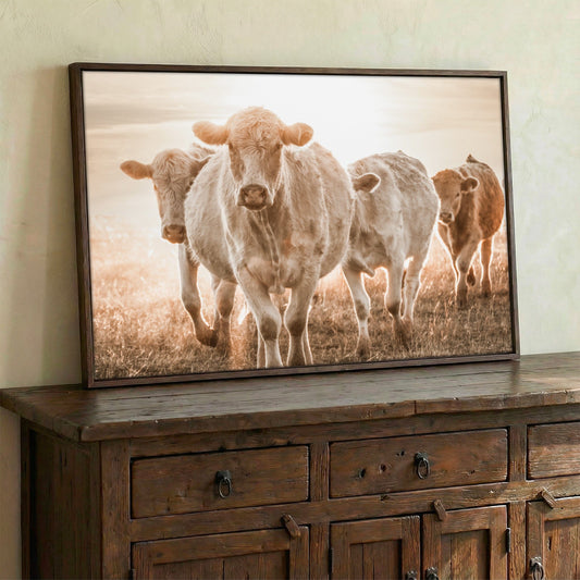 Charolais Cattle Wall Canvas Wall Art Teri James Photography