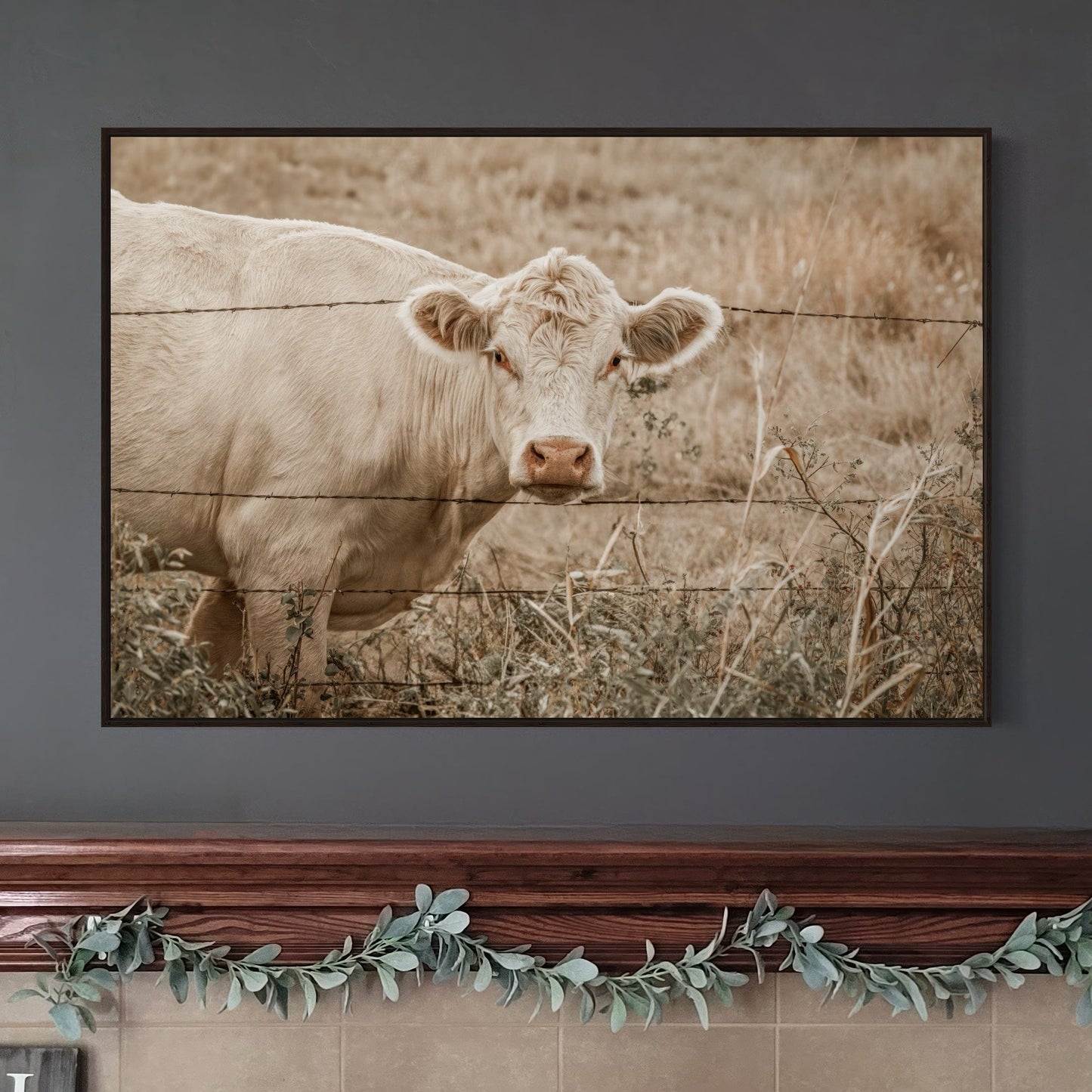 Charolais Cow Canvas Print Wall Art Teri James Photography