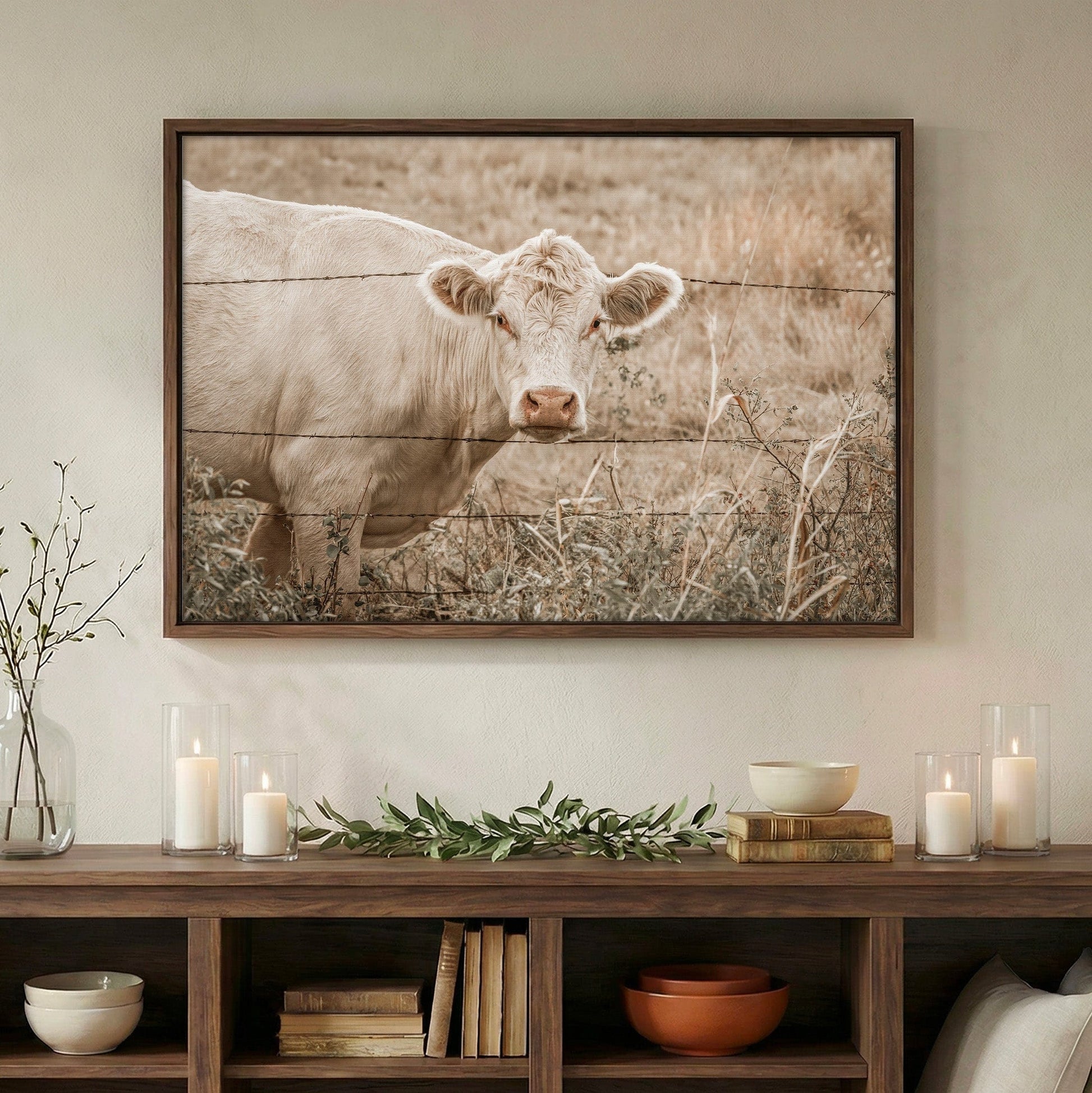 Charolais Cow Canvas Print Wall Art Teri James Photography