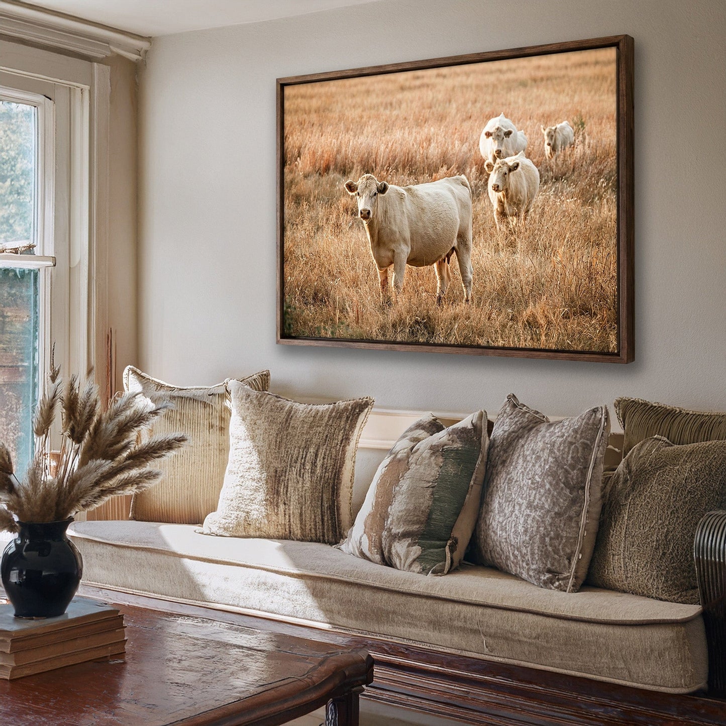 Charolais Cows - Western Cattle Artwork Wall Art Teri James Photography
