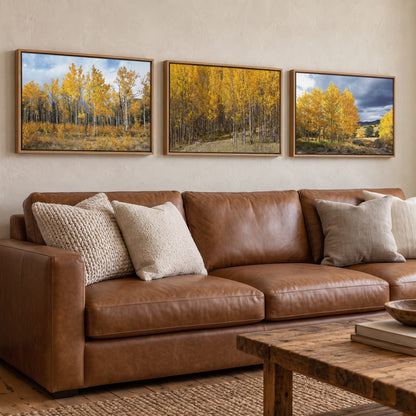 Colorado Aspen Trees - Autumn Landscape Wall Art - Set of 3