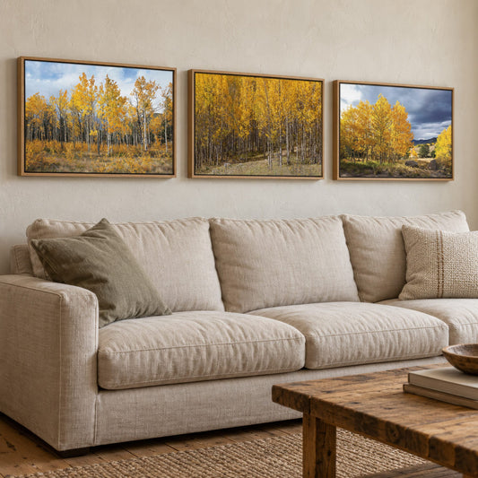 Colorado Aspen Trees - Autumn Landscape Wall Art - Set of 3
