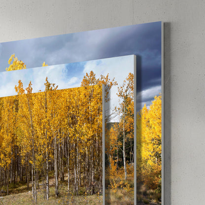 Colorado Aspen Trees - Autumn Landscape Wall Art - Set of 3 Mounted Photo Print (Set of 3) / 12 x 18 Inches