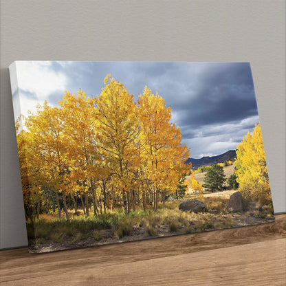 Colorado Landscape - Fall Aspen Trees Canvas-Unframed / 12 x 18 Inches Wall Art Teri James Photography