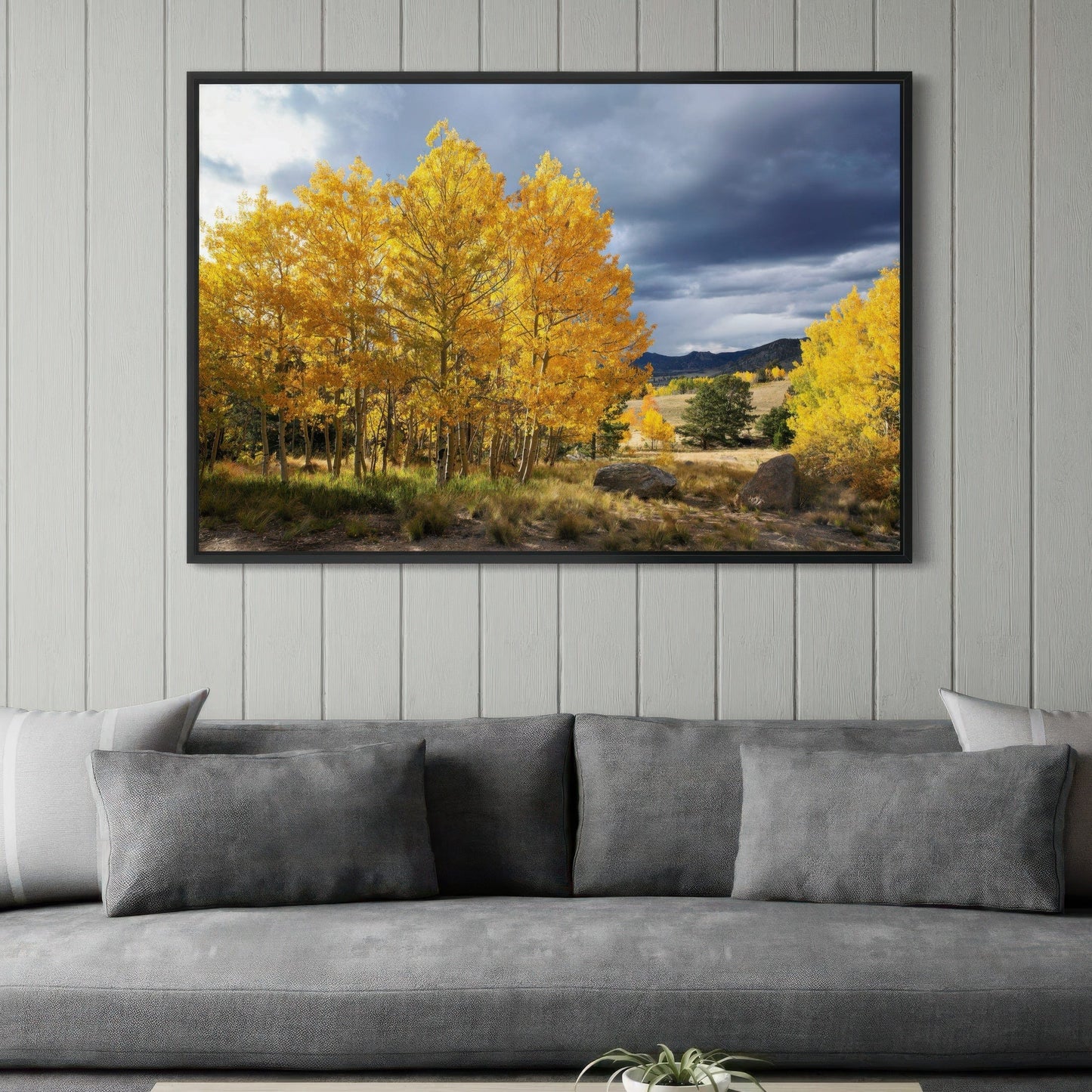 Colorado Landscape - Fall Aspen Trees Wall Art Teri James Photography
