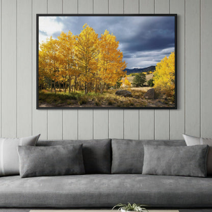 Colorado Landscape - Fall Aspen Trees Wall Art Teri James Photography