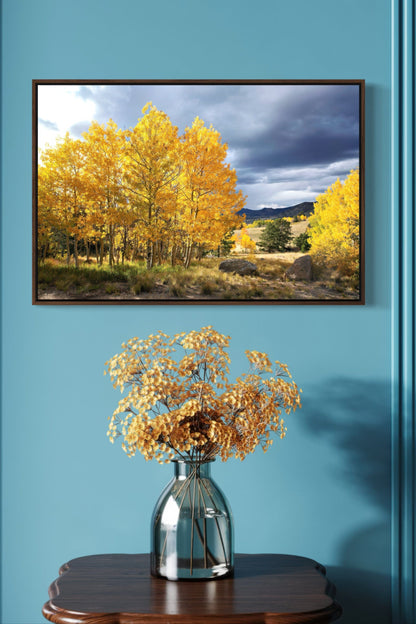 Colorado Landscape - Fall Aspen Trees Wall Art Teri James Photography