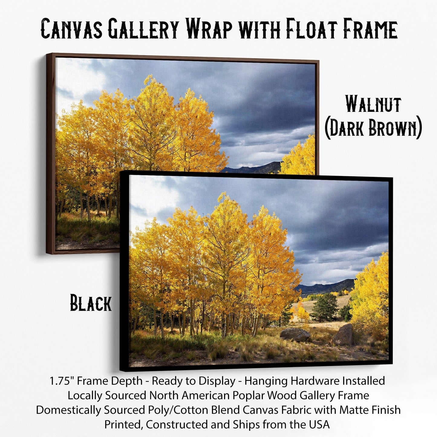 Colorado Landscape - Fall Aspen Trees Canvas-Black Frame / 12 x 18 Inches Wall Art Teri James Photography