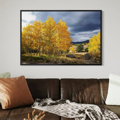 Colorado Landscape - Fall Aspen Trees Wall Art Teri James Photography
