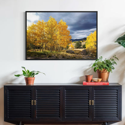 Colorado Landscape - Fall Aspen Trees Wall Art Teri James Photography
