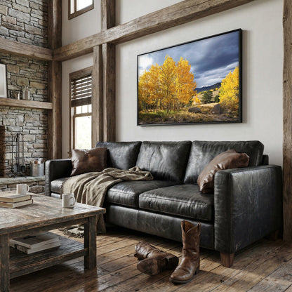Colorado Landscape - Fall Aspen Trees Wall Art Teri James Photography