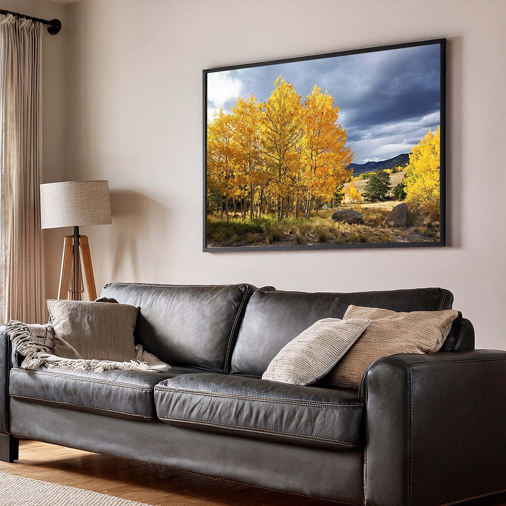 Colorado Landscape - Fall Aspen Trees Wall Art Teri James Photography
