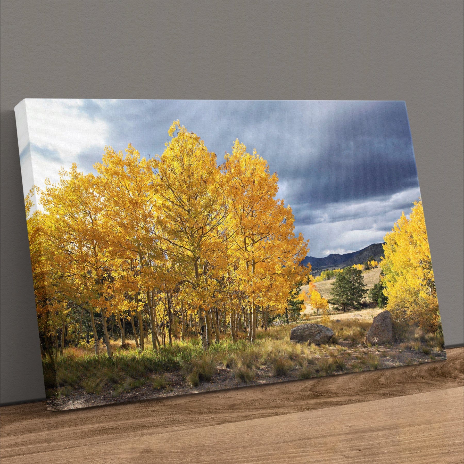 Colorado Landscape - Fall Aspen Trees Canvas-Unframed / 12 x 18 Inches Wall Art Teri James Photography