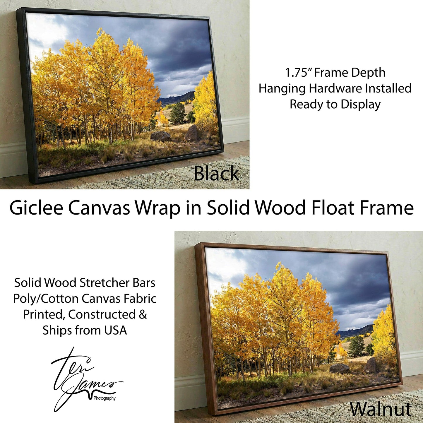 Colorado Landscape - Fall Aspen Trees Canvas-Black Frame / 12 x 18 Inches Wall Art Teri James Photography