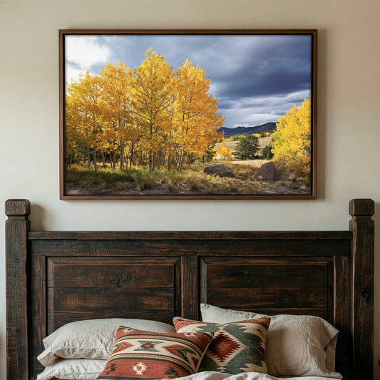 Colorado Landscape - Fall Aspen Trees Wall Art Teri James Photography