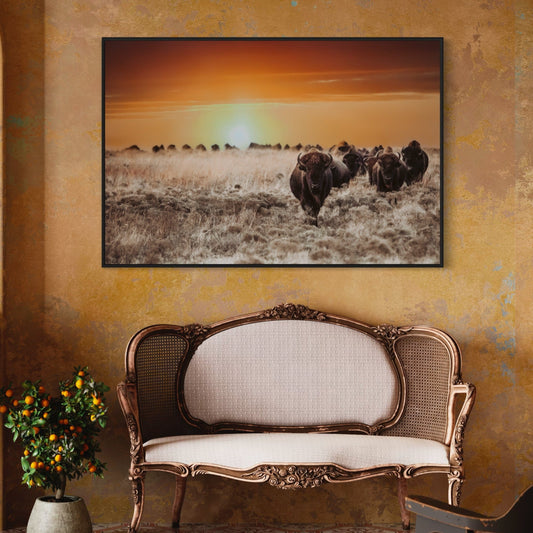 Colorful Bison Canvas Print Wall Art Teri James Photography