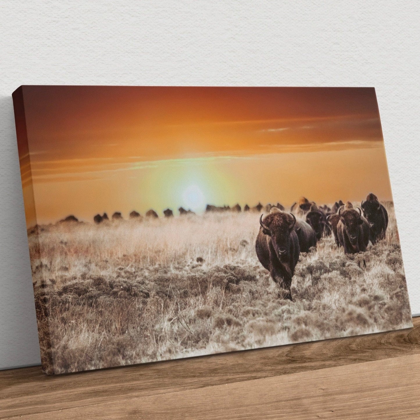 Colorful Bison Canvas Print Canvas-Unframed / 12 x 18 Inches Wall Art Teri James Photography