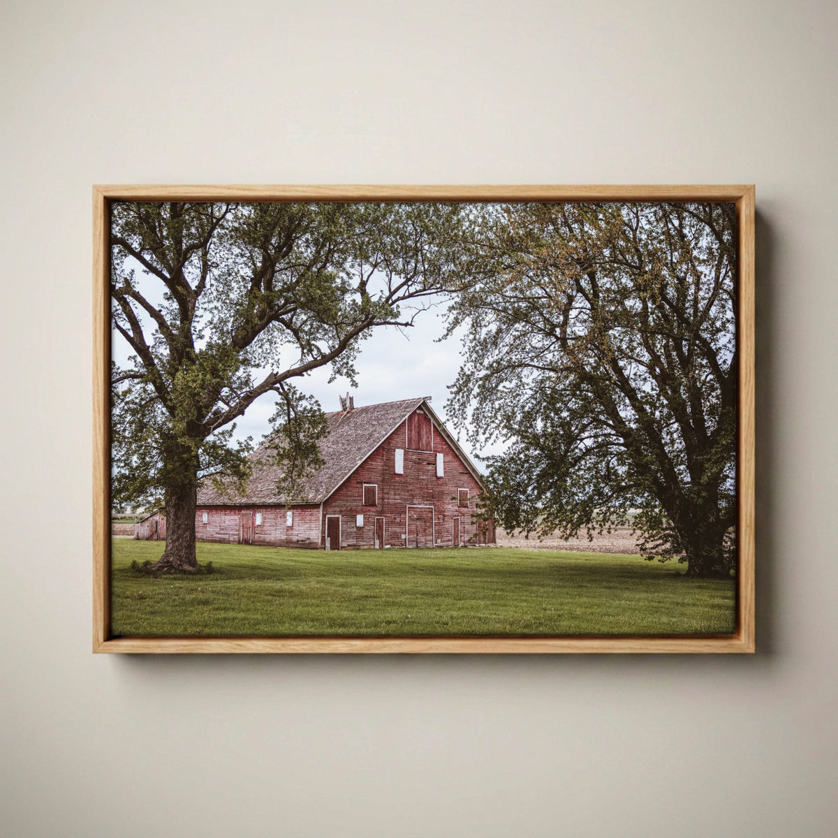 Country Wall Decor - Rustic Farmhouse Wall Art Canvas-Natural Oak Float Frame / 12 x 18 Inches