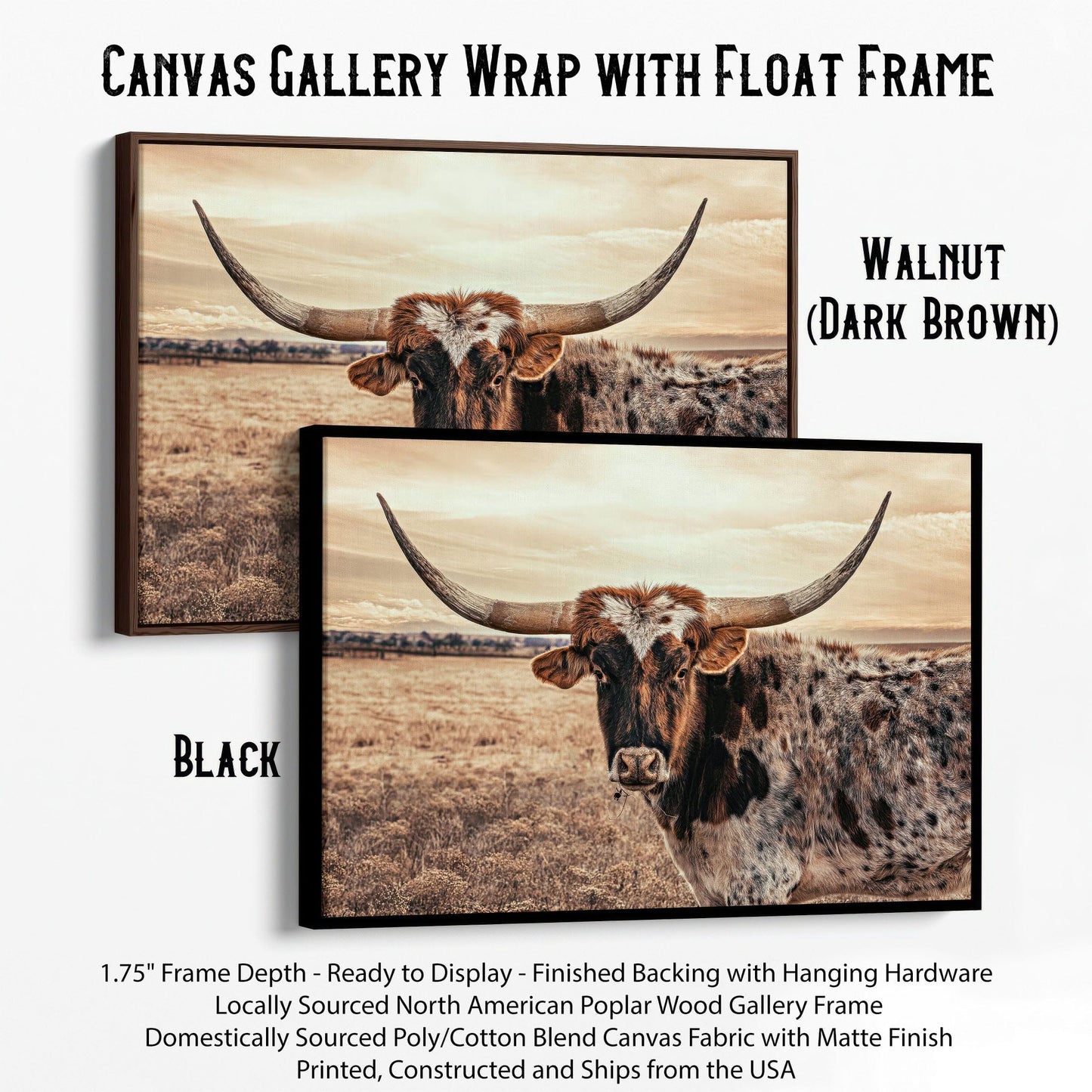 Cow Decor Texas Longhorn Canvas Canvas-Black Frame / 12 x 18 Inches Wall Art Teri James Photography