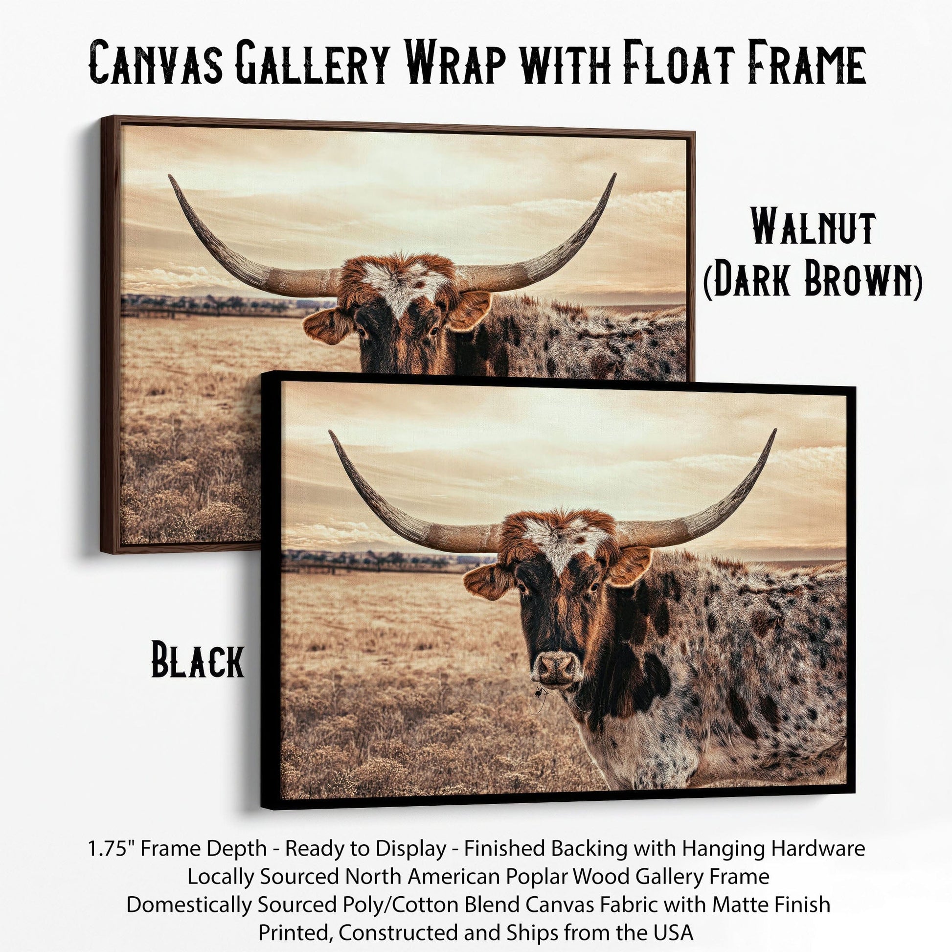 Cow Decor Texas Longhorn Canvas Canvas-Black Frame / 12 x 18 Inches Wall Art Teri James Photography