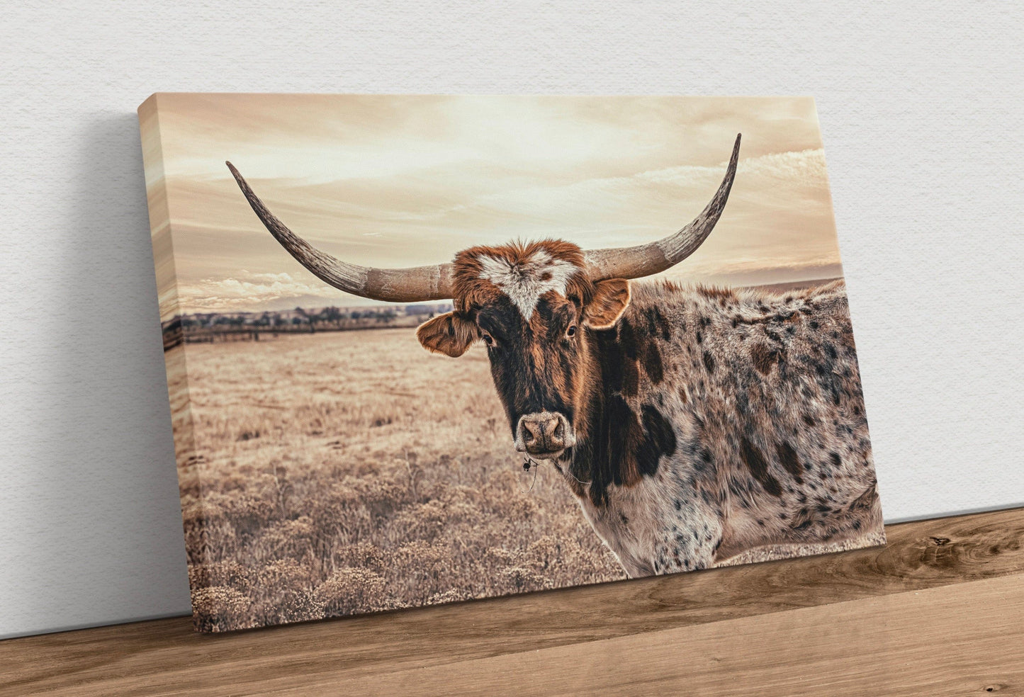 Cow Decor Texas Longhorn Canvas Canvas-Unframed / 12 x 18 Inches Wall Art Teri James Photography