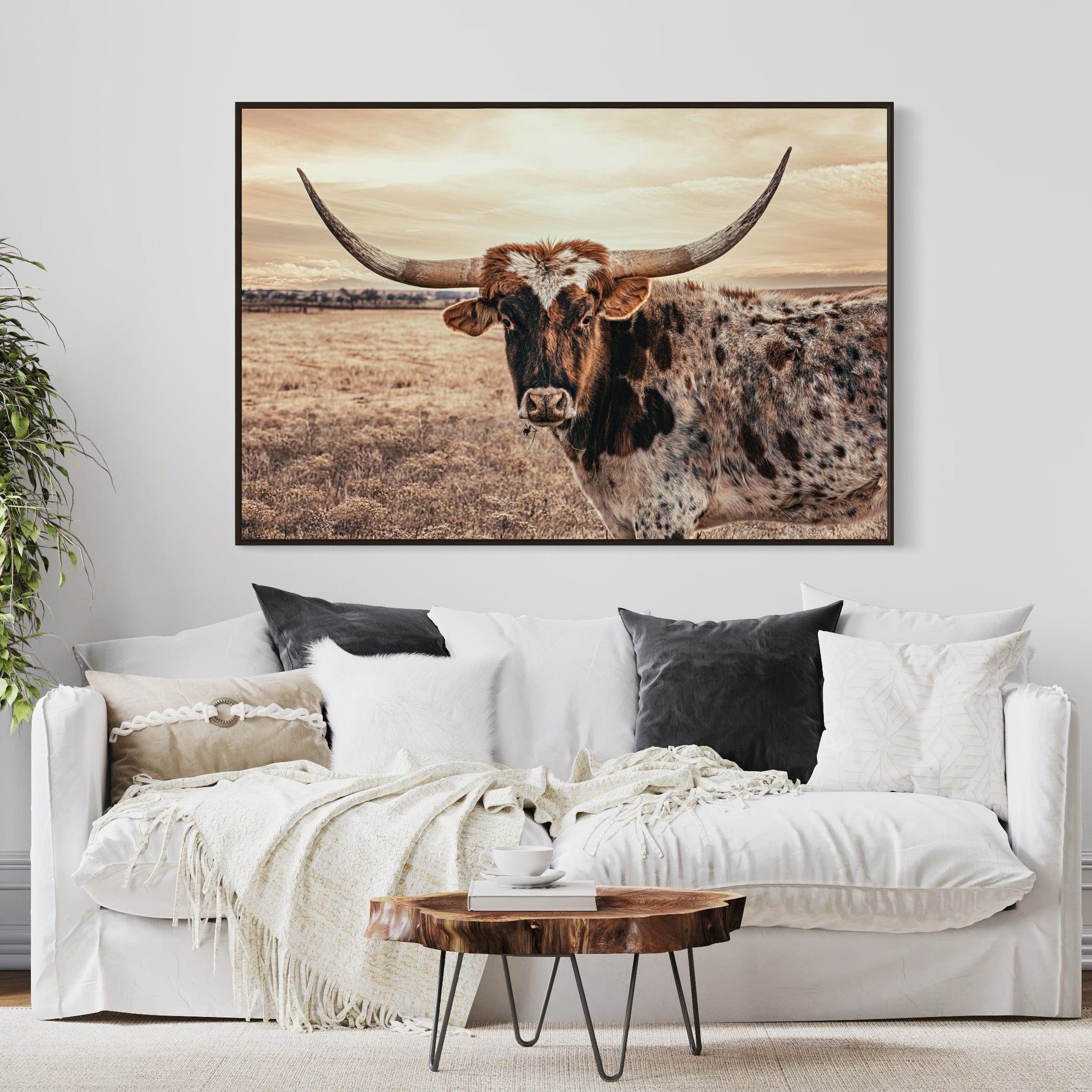 Cow Decor Texas Longhorn Canvas Wall Art Teri James Photography